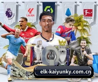 elk-kaiyunky.com.cn APP